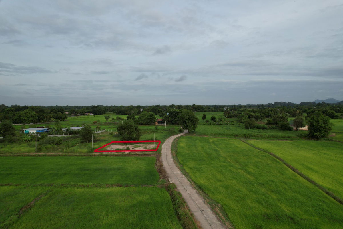รูป ขายที่ดิน 100 ตร.ว. ต.เขาพระ ถมนาน มีโฉนด วิวเขาชัด ขายเพียง 799000 - รูปที่ 22/23