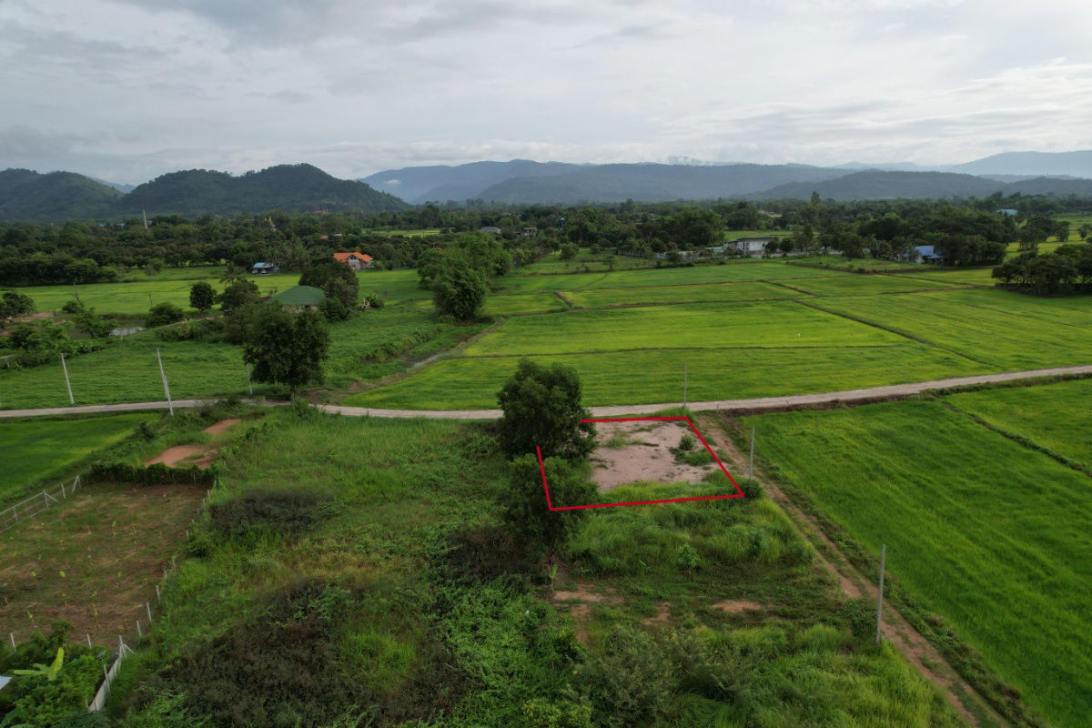 รูป ขายที่ดิน 100 ตร.ว. ต.เขาพระ ถมนาน มีโฉนด วิวเขาชัด ขายเพียง 799000 - รูปที่ 7/23