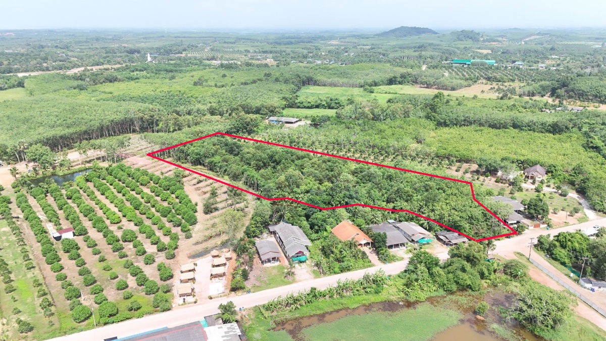 รูป ขายที่ดิน 8 ไร่ 192 ตร.ว. มีโฉนด ต.พังราด อ.แกลง ติดถนนชุมชน - รูปที่ 5/14
