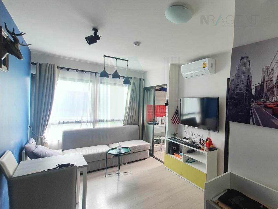 รูป ให้เช่าคอนโด กรีเน่ คอนโด ดอนเมือง-สรงประภา อาคาร B1 ชั้น 8 1 ห้องนอน ขนาด 34.00 ตรม ใกล้ ตลาดนัดบุญอนันต์ - รูปที่ 1/8