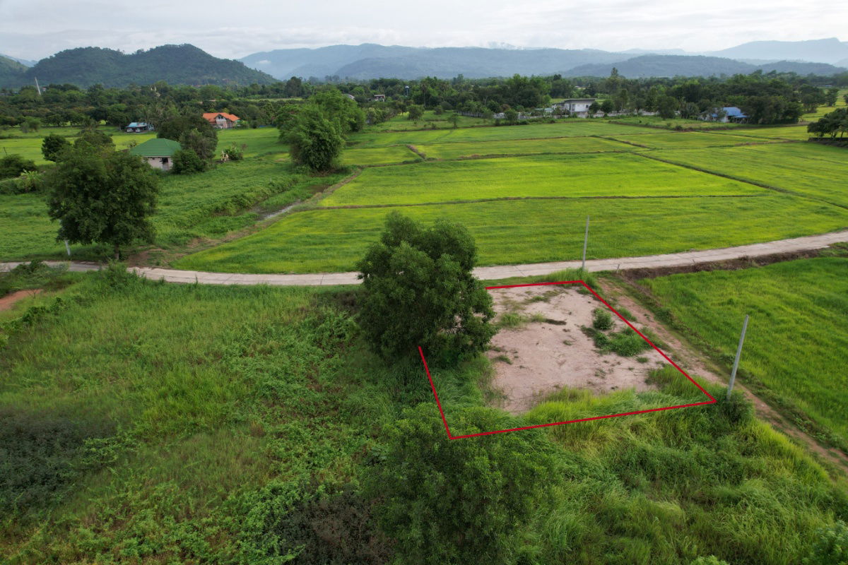 รูป ขายที่ดิน 100 ตร.ว. ต.เขาพระ ถมนาน มีโฉนด วิวเขาชัด ขายเพียง 799000 - รูปที่ 5/23
