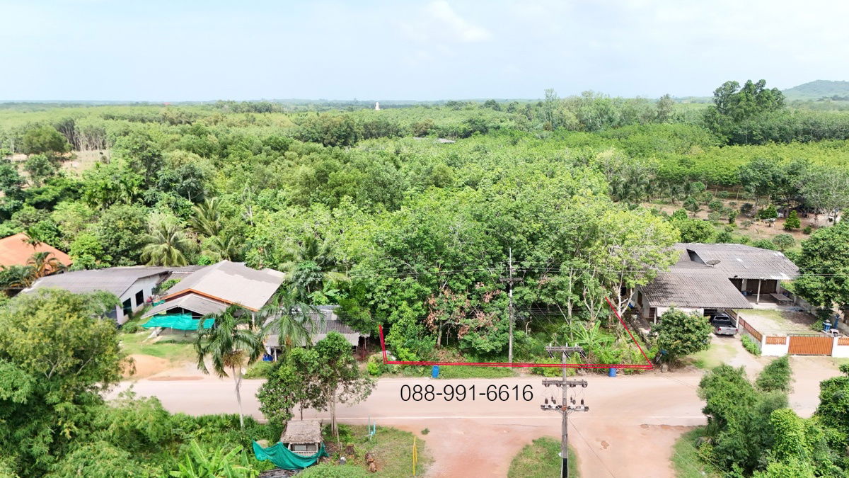 รูป ขายที่ดิน 8 ไร่ 192 ตร.ว. มีโฉนด ต.พังราด อ.แกลง ติดถนนชุมชน - รูปที่ 2/14