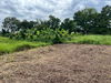 listing thumbnail image 24