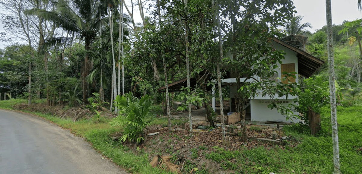 รูป ขายที่ดินพร้อมสวนผลไม้ 24 ไร่ ติดถนนดำ เยื้อง รร.บ้านพอบิด ต.ท่าประดู่ อ.นาทวี จ.สงขลา - รูปที่ 2/8