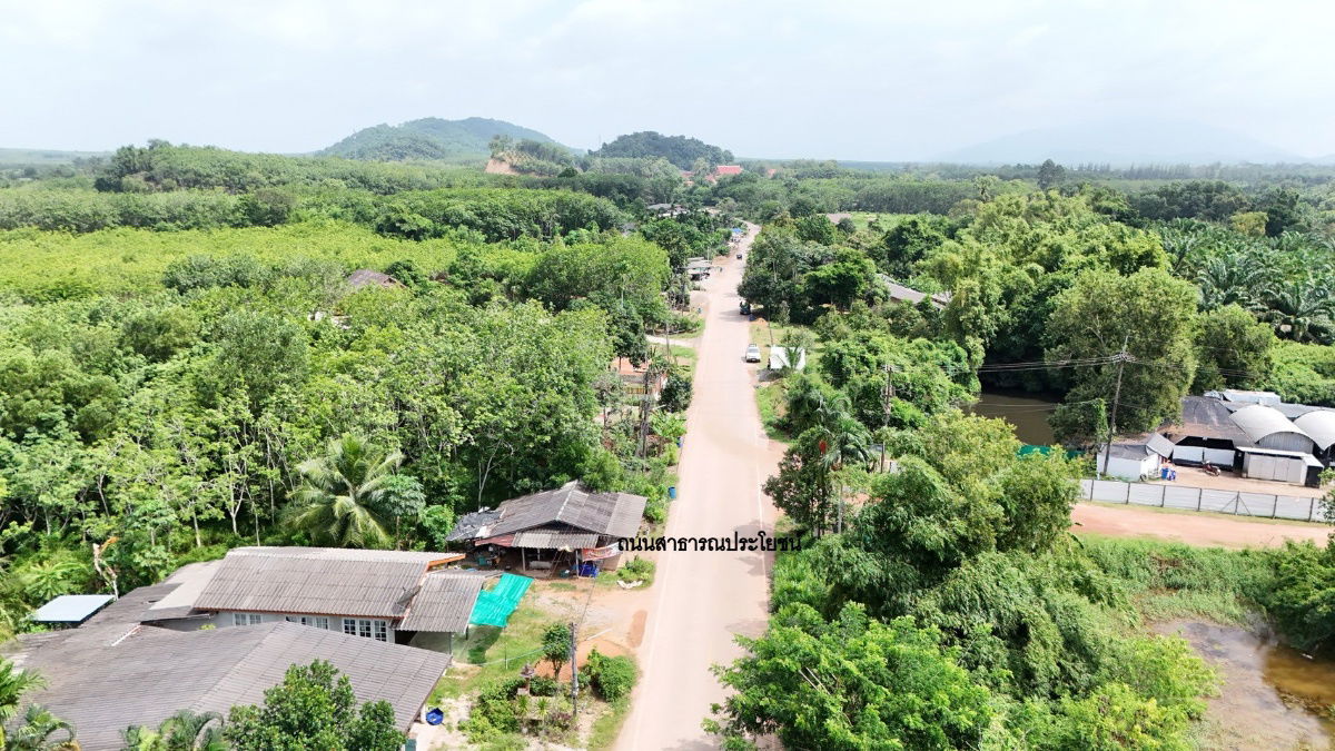 รูป ขายที่ดิน 8 ไร่ 192 ตร.ว. มีโฉนด ต.พังราด อ.แกลง ติดถนนชุมชน - รูปที่ 10/14