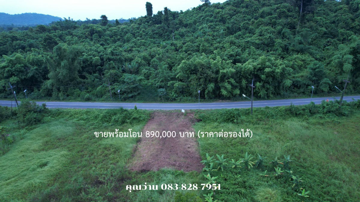 รูป ขายที่ดินติดถนนหลักชุมชน ต.พรหมณี เนื้อที่ 98 ตารางวา หน้าโครงการจักรดาว - รูปที่ 12/30