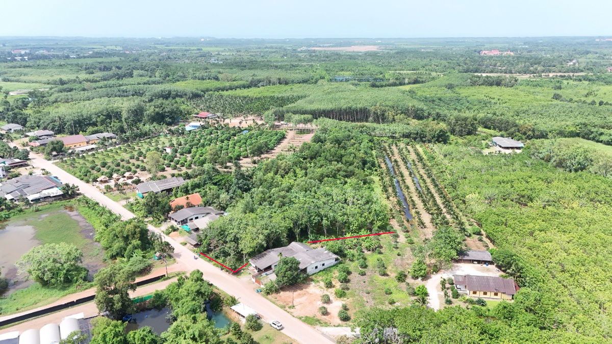 รูป ขายที่ดิน 8 ไร่ 192 ตร.ว. มีโฉนด ต.พังราด อ.แกลง ติดถนนชุมชน - รูปที่ 11/14