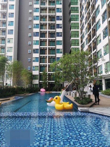 picture C5883 For Rent  :  Condo  Kensington Sukhumvit - Theparak ( MRT Thipphawan ) 064 665 4666 - 13/15