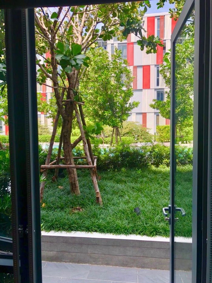 picture Condo for rent Taka Haus Ekkamai12  Glass house Pool access  - 10/10