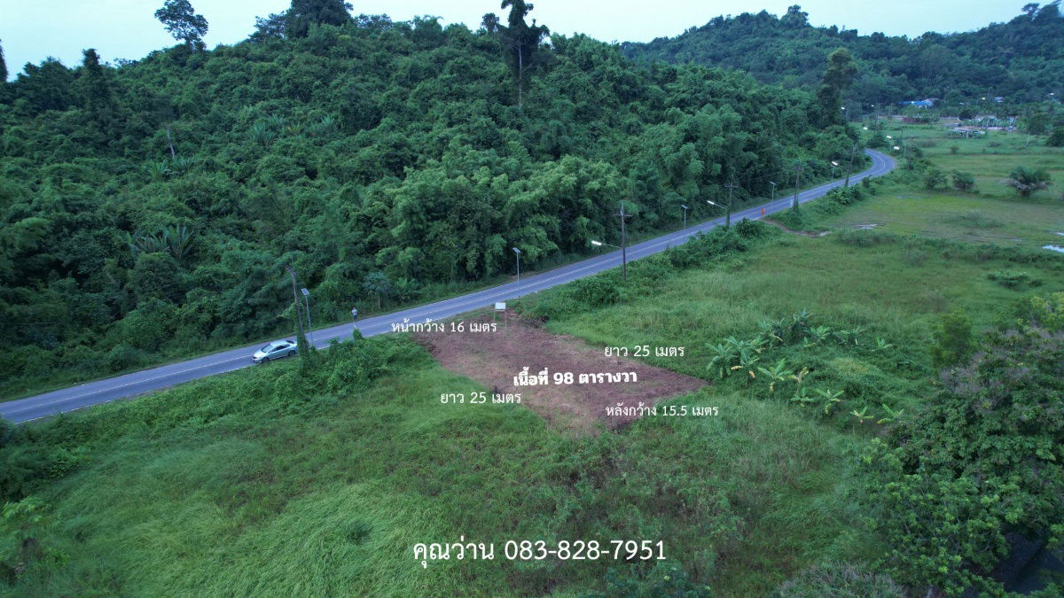 รูป ขายที่ดินติดถนนหลักชุมชน ต.พรหมณี เนื้อที่ 98 ตารางวา หน้าโครงการจักรดาว - รูปที่ 6/30