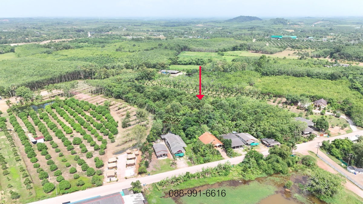 รูป ขายที่ดิน 8 ไร่ 192 ตร.ว. มีโฉนด ต.พังราด อ.แกลง ติดถนนชุมชน - รูปที่ 3/14