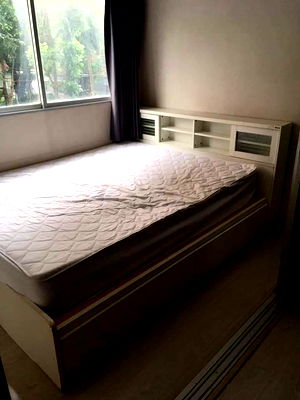 Condos for rent Khlong Luang Pathumthani : P970 Condo for rent, Plum Condo Park Rangsit, near the university, beautiful room, fully furnished, ready to move in.