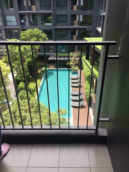 รูป ให้เช่าคอนโด ดิ เอ็กซ์เซล กรูฟ ลาซาล 52 อาคาร C ชั้น 5 สตูดิโอ ขนาด 30.00 ตรม ใกล้ Big C ศรีนครินทร์ - รูปที่ 8/8