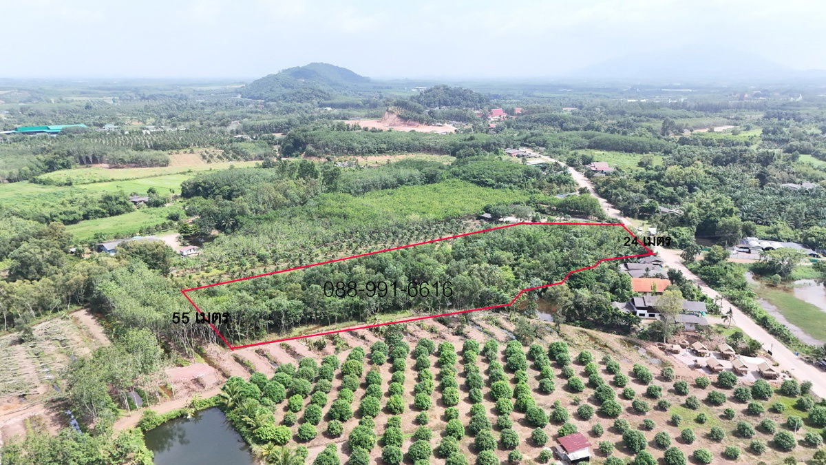 รูป ขายที่ดิน 8 ไร่ 192 ตร.ว. มีโฉนด ต.พังราด อ.แกลง ติดถนนชุมชน - รูปที่ 4/14