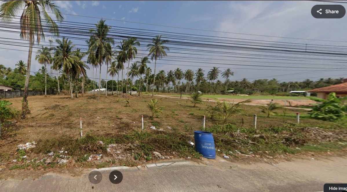 รูป ขายที่ดินวิวทะเลพังงา ติดถนน หาดนาใต้ อ.โคกกลอย เดิยเพียง 1 นาทีถึงชายหาด - รูปที่ 8/10