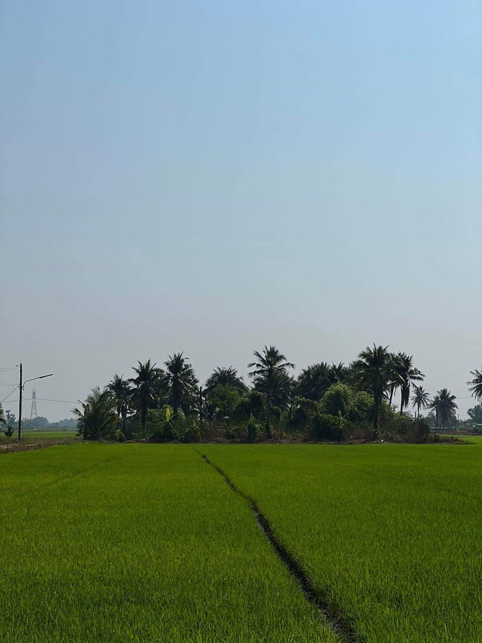 รูป ขายที่ดิน 60 ไร่ ตำบลบึงบอน อำเภอหนองเสือ จังหวัดปทุมธานี 1,500,000 บาท/ไร่ - รูปที่ 2/7