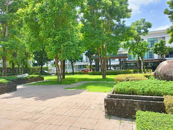 รูป [ เช่า | RENT ]  ⚡🌈HBN0175 ทาวน์โฮม พฤกษาวิลล์ 76 บางนา - วงแหวน ( Pruksa Ville 76 Banga - Wongwaen ) ⚡🌈 LINE : @theagentpro (มี @ นำหน้าด้วยครับ)  - รูปที่ 24/27