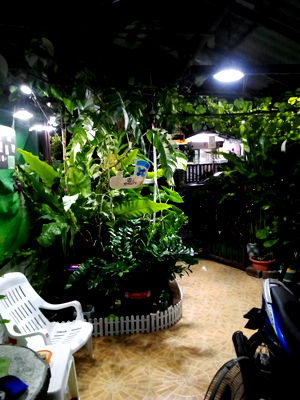 ทาวน์โฮม MRT เคหะรามคำแหง : ขายTownhome ม.โชคชัยปัญจทรัพย์ รามคำแหง 184 