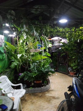 ขายTownhome ม.โชคชัยปัญจทรัพย์ รามคำแหง 184 