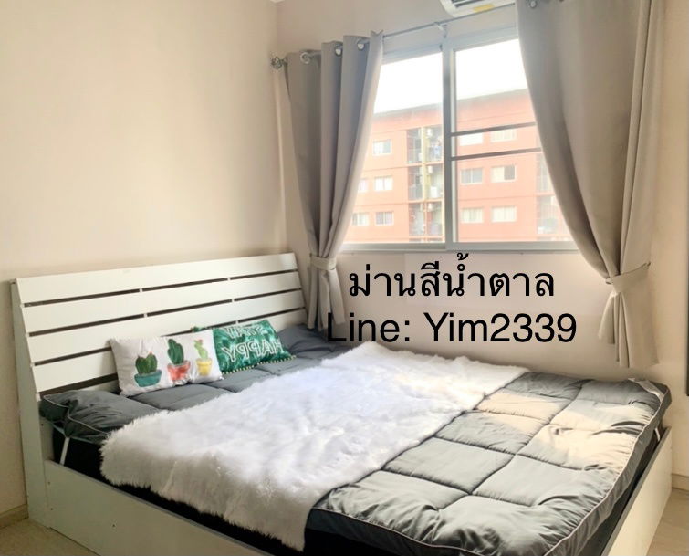 picture Plum condo park rangsit for rent - 2/11
