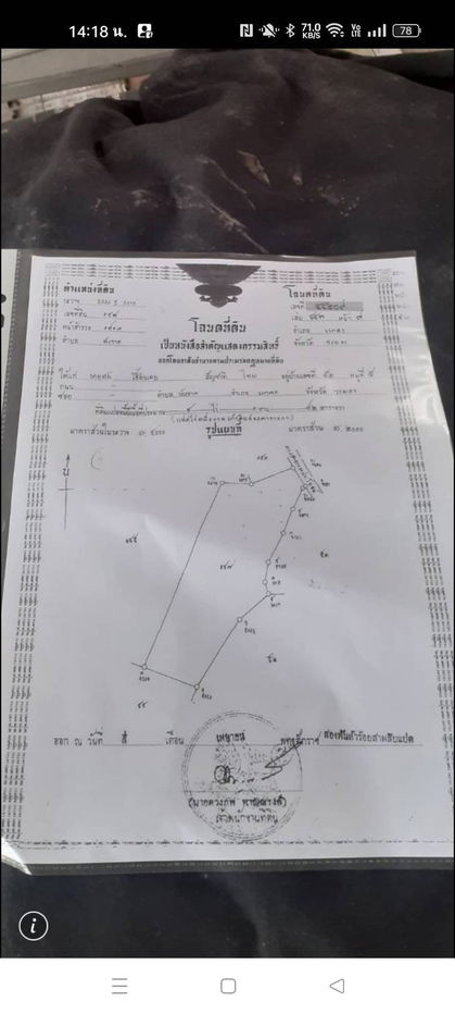รูป ขายที่ดิน 8 ไร่ 192 ตร.ว. มีโฉนด ต.พังราด อ.แกลง ติดถนนชุมชน - รูปที่ 13/14