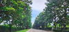 listing thumbnail image 11