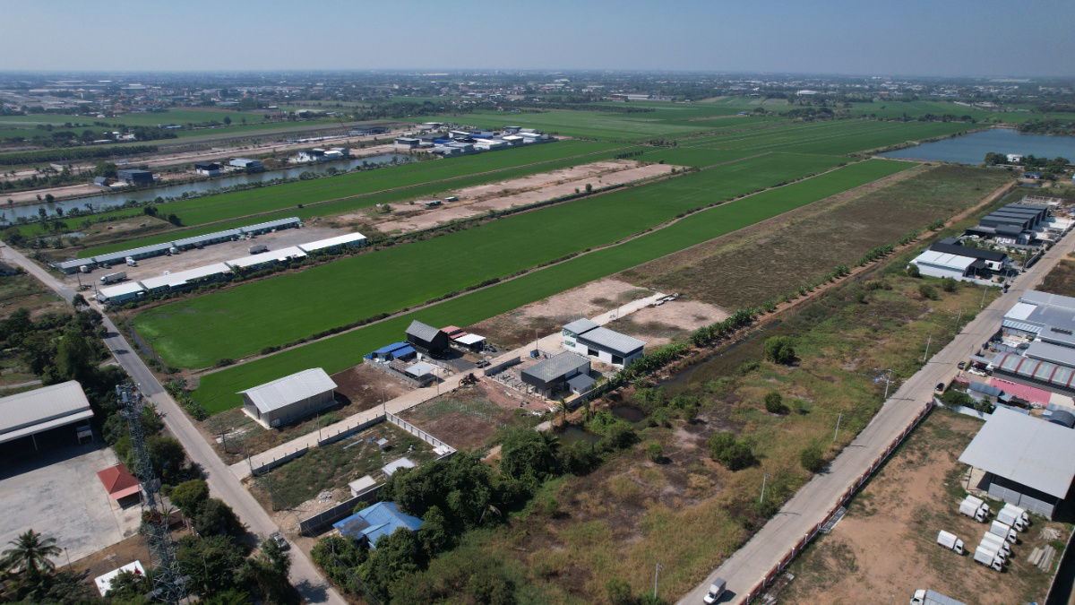 picture Land with warehouse, Pinthong Land Project - 4/15