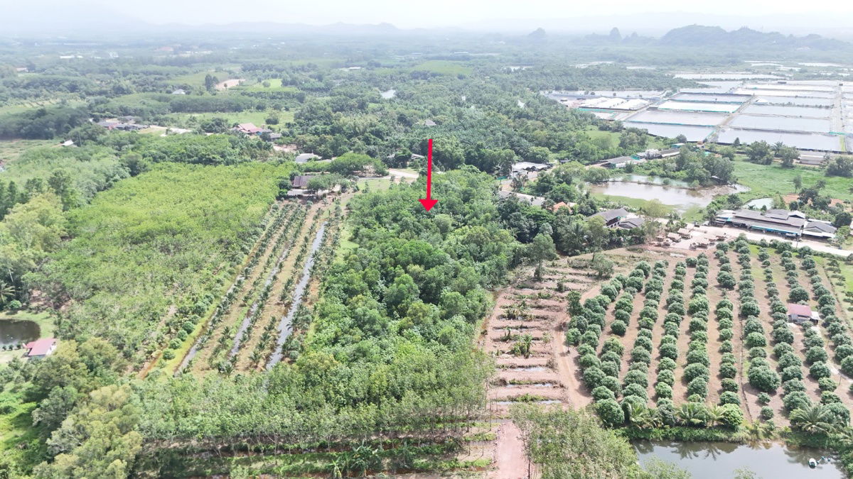 รูป ขายที่ดิน 8 ไร่ 192 ตร.ว. มีโฉนด ต.พังราด อ.แกลง ติดถนนชุมชน - รูปที่ 9/14