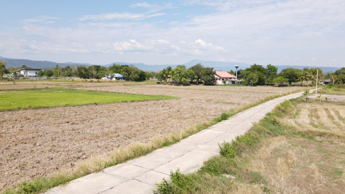 รูป ขายที่ดิน 100 ตร.ว. ต.เขาพระ ถมนาน มีโฉนด วิวเขาชัด ขายเพียง 799000 - รูปที่ 21/23