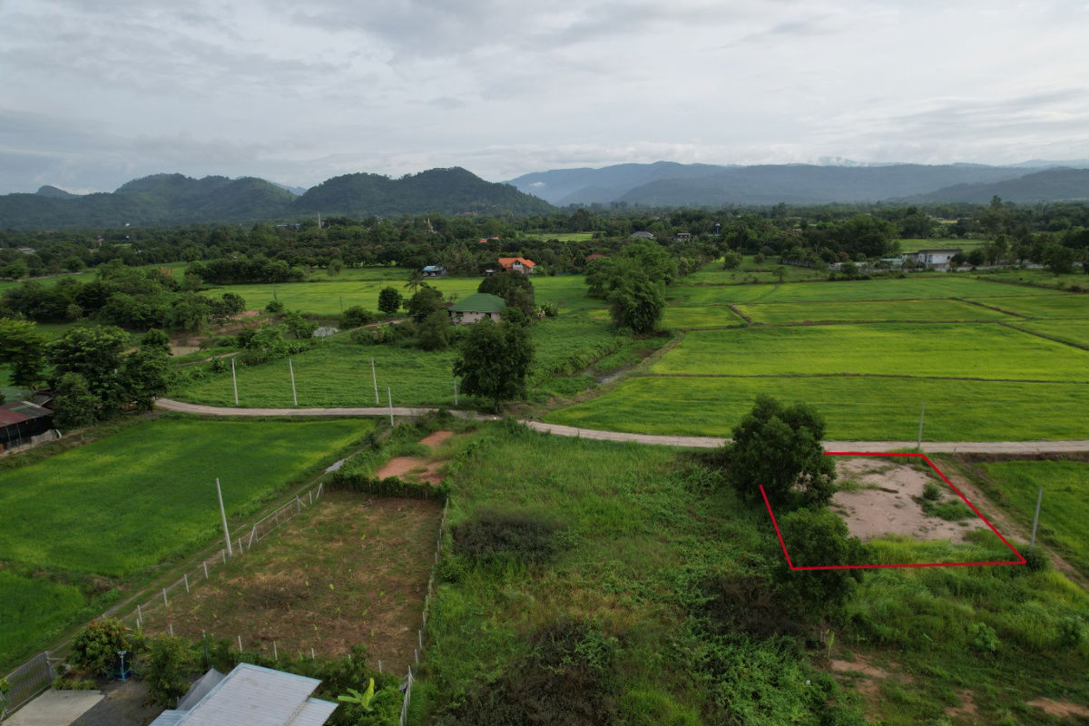 รูป ขายที่ดิน 100 ตร.ว. ต.เขาพระ ถมนาน มีโฉนด วิวเขาชัด ขายเพียง 799000 - รูปที่ 11/23