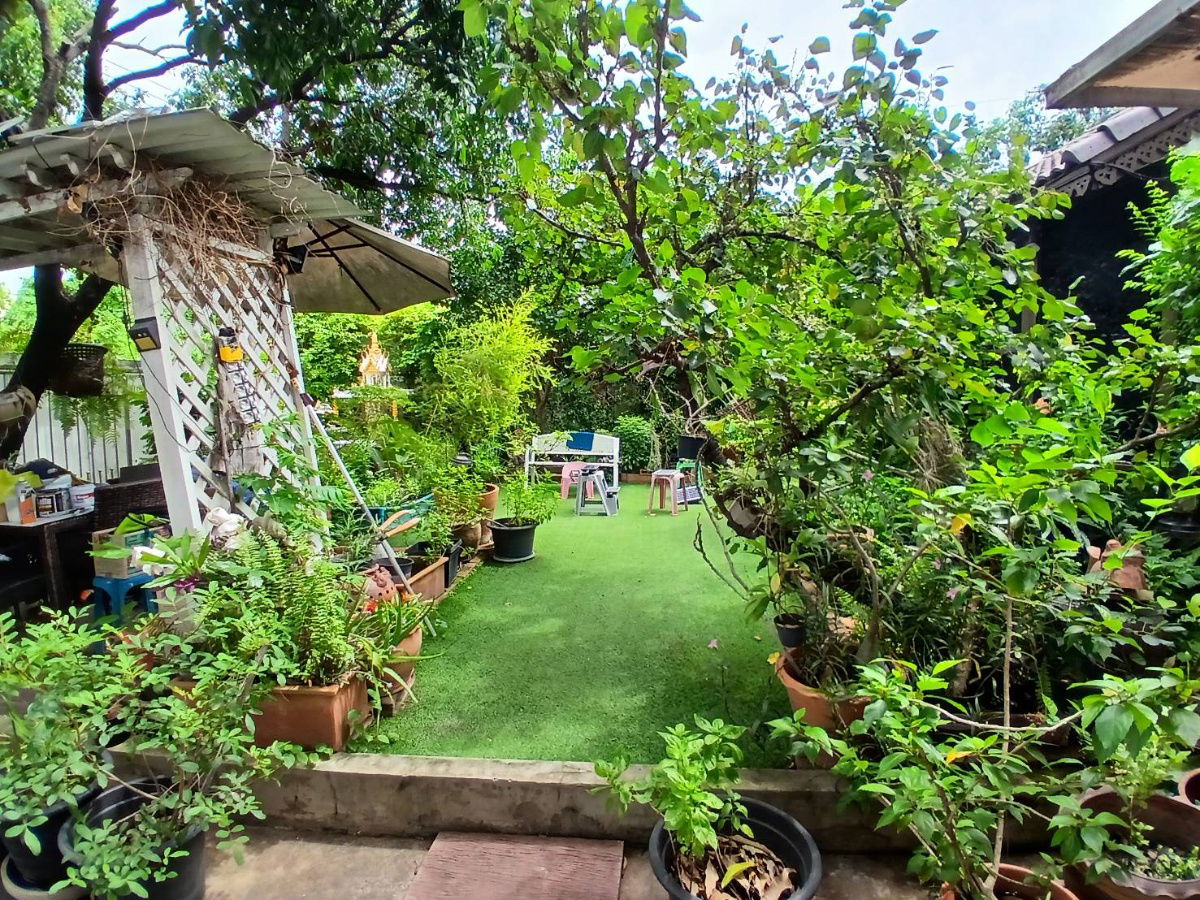 รูป ขายบ้านเดี่ยว หมู่บ้านเมืองทองนิเวศน์ 1 ใกล้ MRTแจ้งวัฒนะ 14 Tel.0999983897 - รูปที่ 4/23