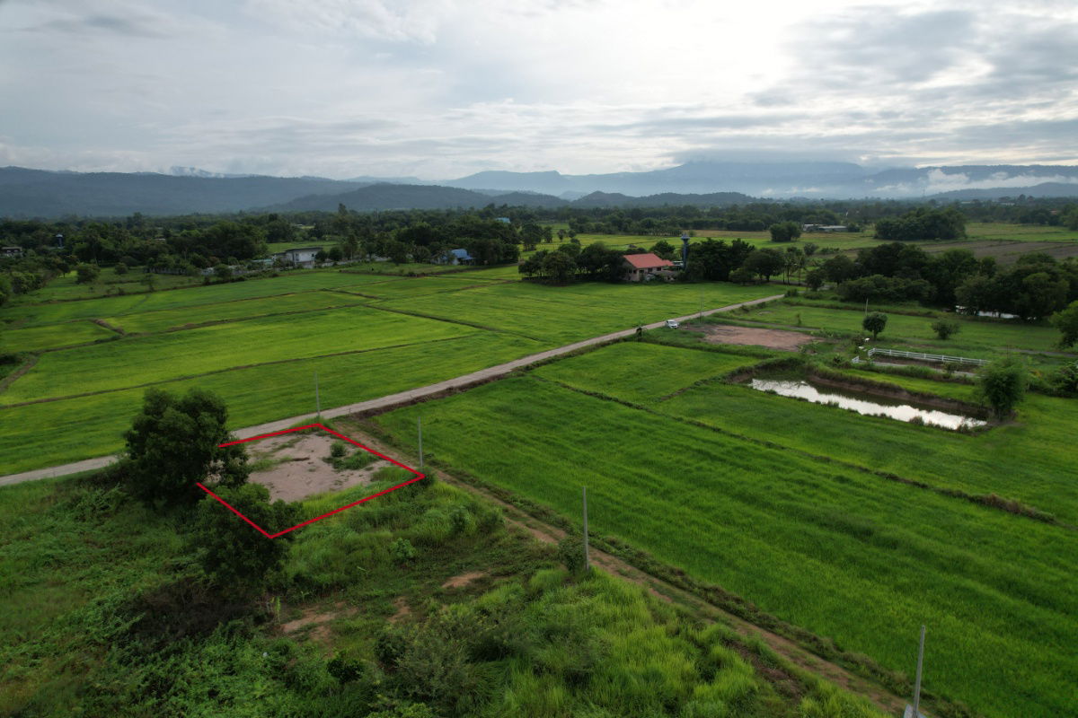 รูป ขายที่ดิน 100 ตร.ว. ต.เขาพระ ถมนาน มีโฉนด วิวเขาชัด ขายเพียง 799000 - รูปที่ 12/23