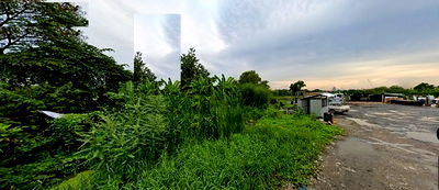 ที่ดิน เซฟวัน โก ศรีสมาน : ขายที่ดินถนนติวานนท์ บางพูด เข้าซอย เนื้อที่ 217 ตรว อ.ปากเกร็ด จ.นนทบุรี  ใกล้คลองบางพัง อู่ช่างจอนห์ ตู้ซิ่ง  J&T สาขาบางพูด ใกลซอยงบประมาณซอย6 