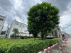 listing thumbnail image 28