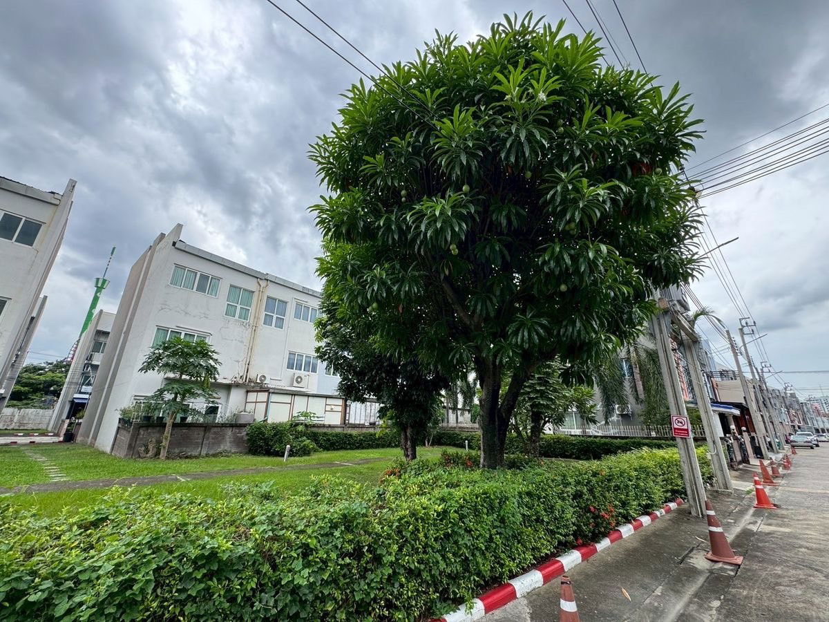 รูป ขายด่วน ทาวน์โฮม 3 ชั้น ติดถนนใหญ่ รามอินทรา กม.12 | แต่งครบ พร้อมอยู่ ใกล้ Makro - รูปที่ 29/30