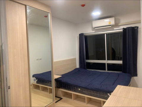 ให้เช่า  𝗣𝗹𝘂𝗺 𝗖𝗼𝗻𝗱𝗼 𝗥𝗮𝗻𝗴𝘀𝗶𝘁 𝗔𝗹𝗶𝘃𝗲 𝟭 🏡 𝟵,𝟬𝟬𝟬 เฟอร์ครบ พร้อมอยู่‼️#ตอบแชทไว 🔥🔥 รหัส M1356  