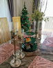 listing thumbnail image 24