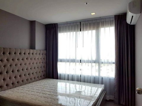 C5891 For Rent  :  Condo  DEO Sukhumvit 93 ( BTS Bang Chak ) 064 665 4666