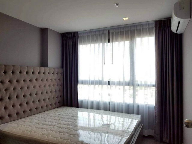 picture C5891 For Rent  :  Condo  DEO Sukhumvit 93 ( BTS Bang Chak ) 064 665 4666 - 1/16