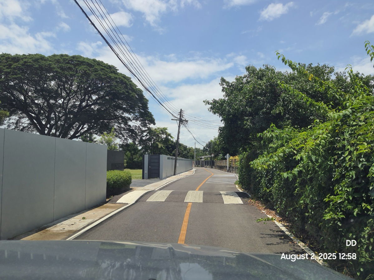 รูป DD-0316AB ขายที่ดินเปล่า 64.5ตร.วา แปลงหัวมุม และ 71ตร.วา แปลงใน โซนสันทรายหลวง - รูปที่ 7/7