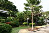 listing thumbnail image 26