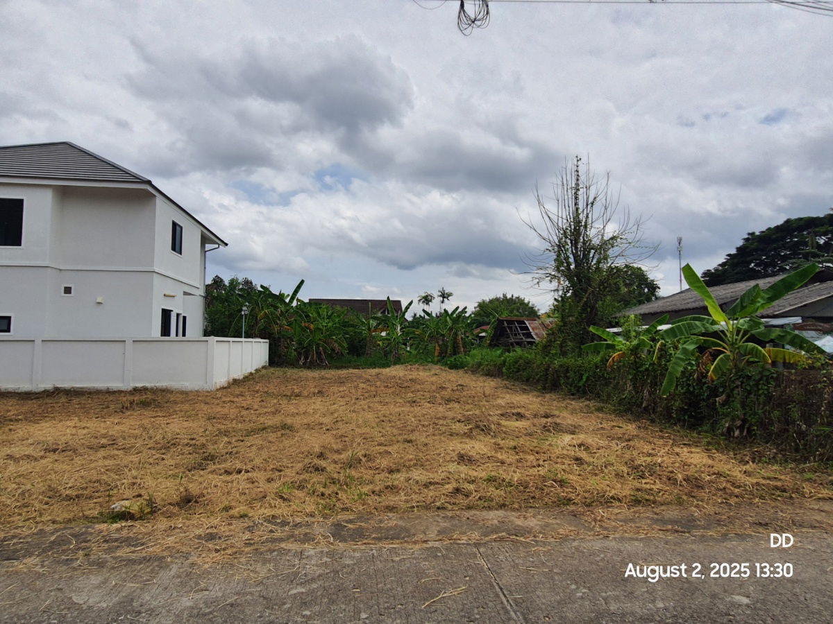 รูป DD-0316AB ขายที่ดินเปล่า 64.5ตร.วา แปลงหัวมุม และ 71ตร.วา แปลงใน โซนสันทรายหลวง - รูปที่ 5/7