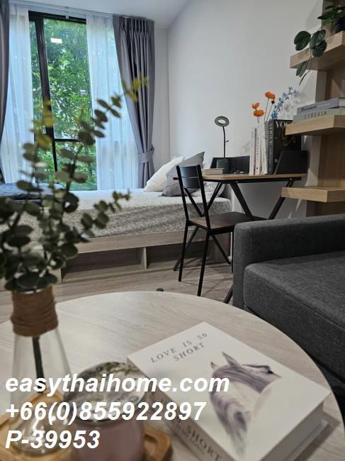picture P-39953 Condo for rent Atmoz Tropicana Bangna fully furnished (Confirm again when visit).  - 11/18