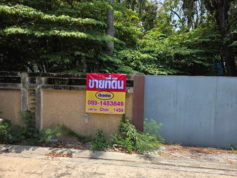 ขายที่ดิน 191 ตร.ว ถนนสุขุมวิท101/1  แปลงสี่เหลี่ยมหน้ากว้าง เข้าจากถนนสุขุมวิทนิดเดียว ใก้ลรถไฟฟ้าสถานีปุณณวิถี ทรูดิจิตอลพาร์ค 