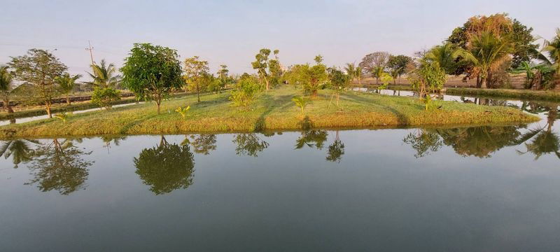 รูป ขาย บ้านเดี่ยว ต.เขาขลุง อ.บ้านโป่ง จ.ราชบุรี เลขที่ 93 - รูปที่ 7/17