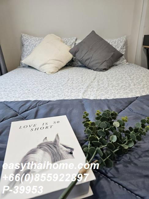 picture P-39953 Condo for rent Atmoz Tropicana Bangna fully furnished (Confirm again when visit).  - 10/18