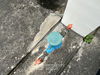 listing thumbnail image 56