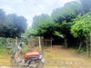 listing thumbnail image 1