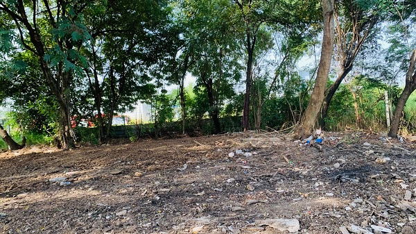 picture Land for rent with a small building on Phutthamonthon Sai 3. Land area: 542 square wah, approximately 30 meters wide. Depth: 72 meters - 6/7
