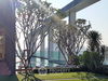 listing thumbnail image 17
